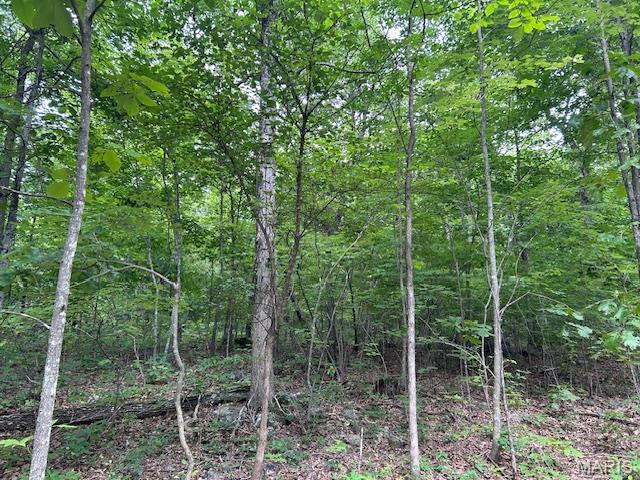 615 Lori Lane Ironton, MO 63650 - Photo 20 of 38