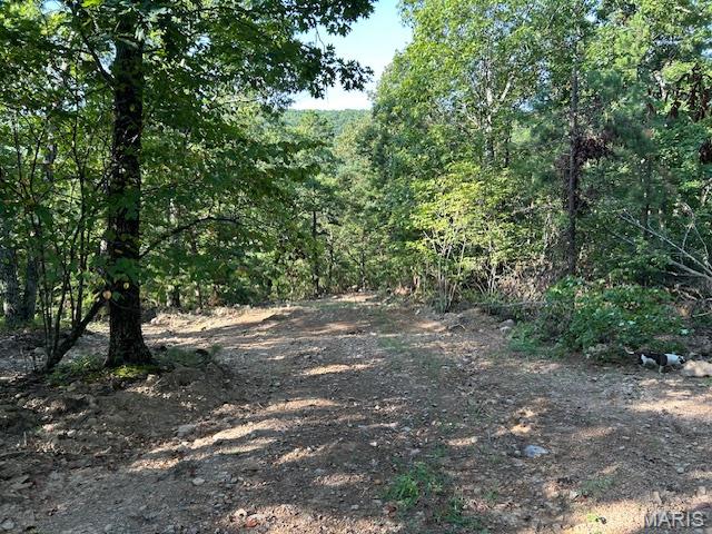 615 Lori Lane Ironton, MO 63650 - Photo 32 of 38