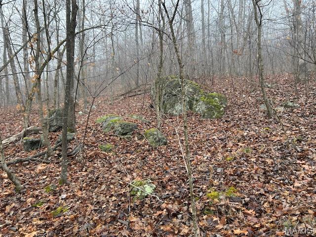 615 Lori Lane Ironton, MO 63650 - Photo 38 of 38