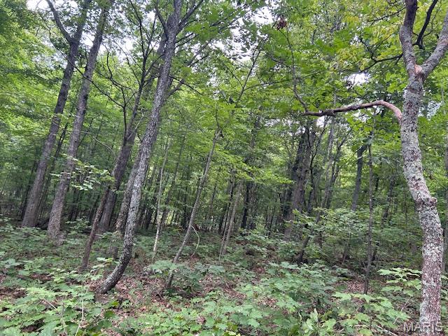 615 Lori Lane Ironton, MO 63650 - Photo 5 of 38