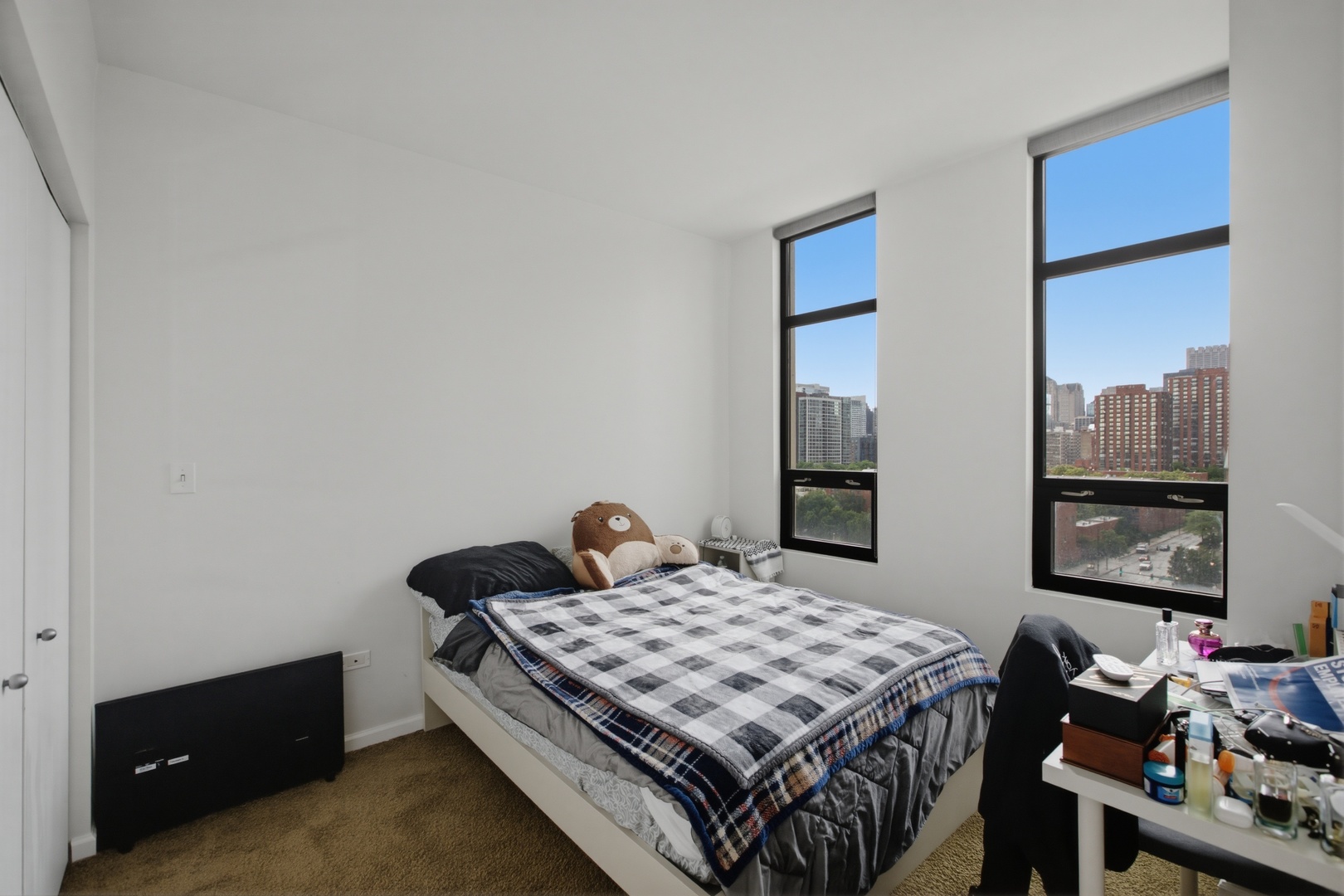 1255 South State Street, Unit 901 Chicago, IL 60605 - Photo 6 of 11