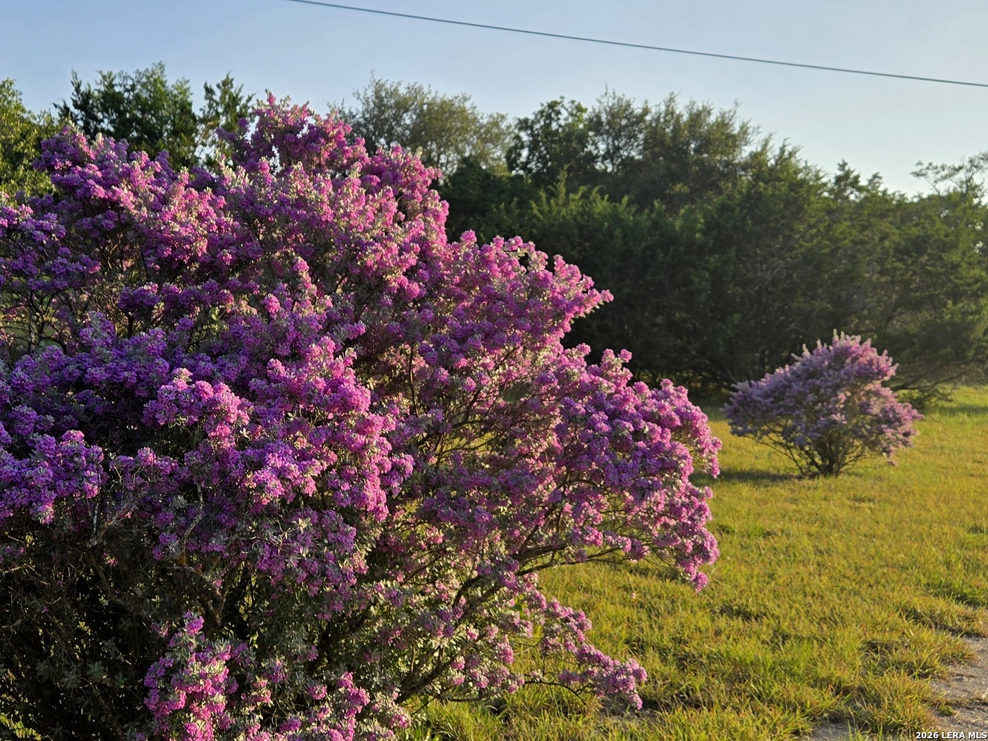 230 Rocky Top Road Medina, TX 78055 - Photo 31 of 36 Gallery Image 31