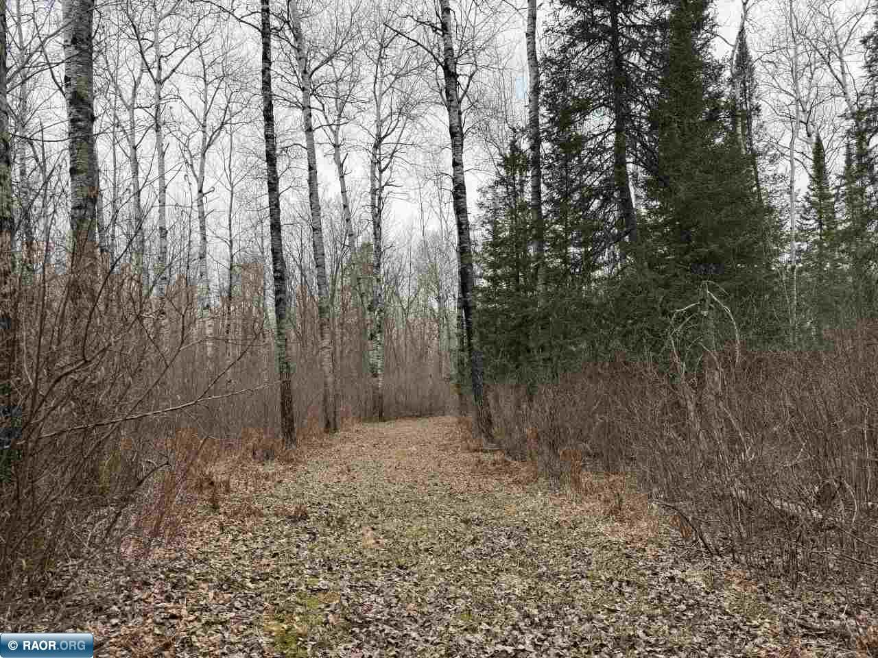 9051 Range Line Road Cook, MN 55723 - Photo 21 of 26
