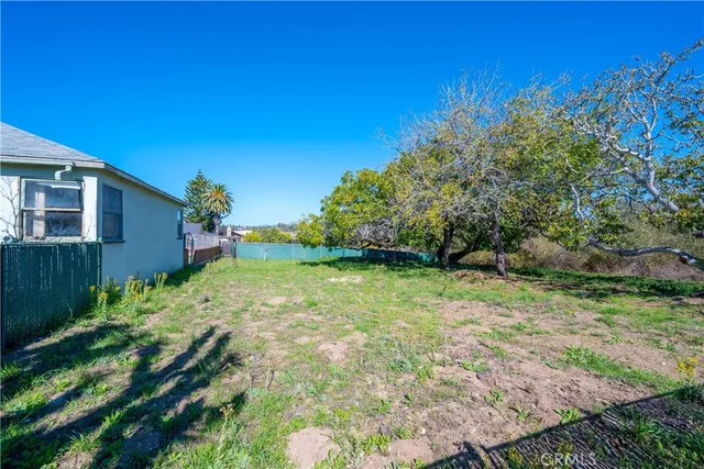 a view of a backyard with plants