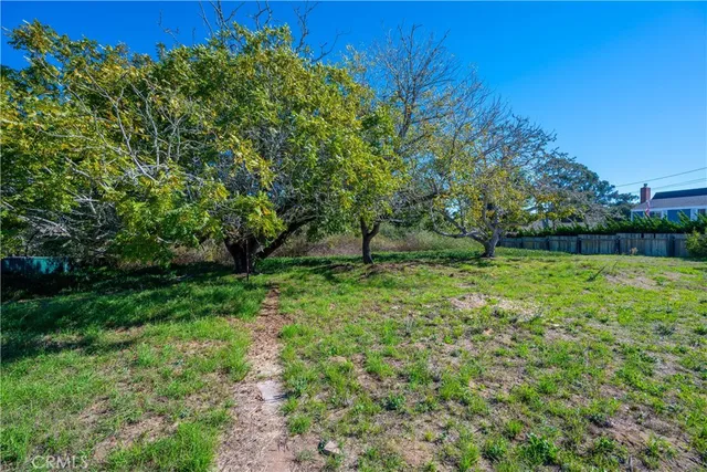 a view of outdoor space with deck and yard
