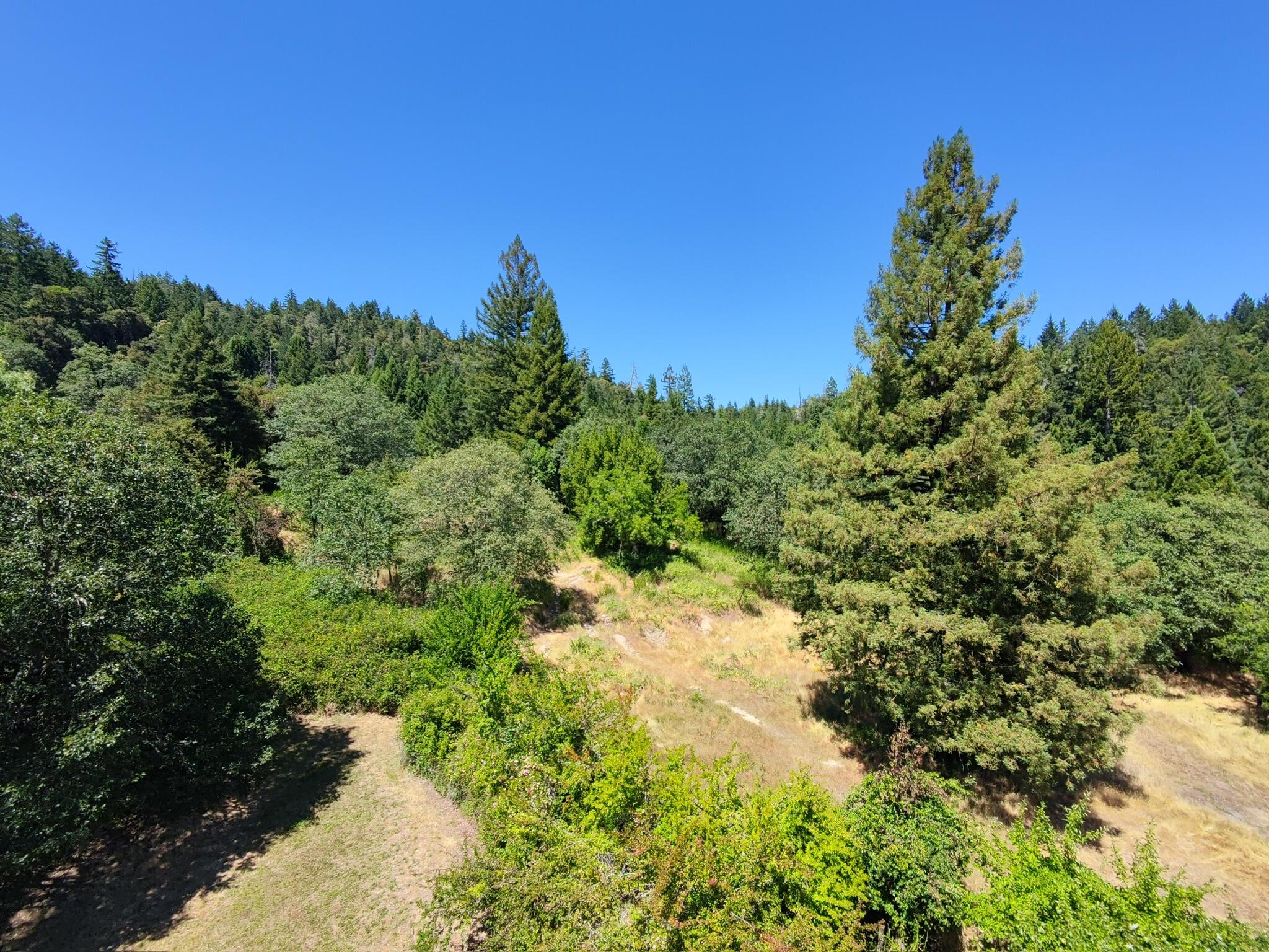 308 West Coast Road Redway, CA 95560 - Photo 52 of 56