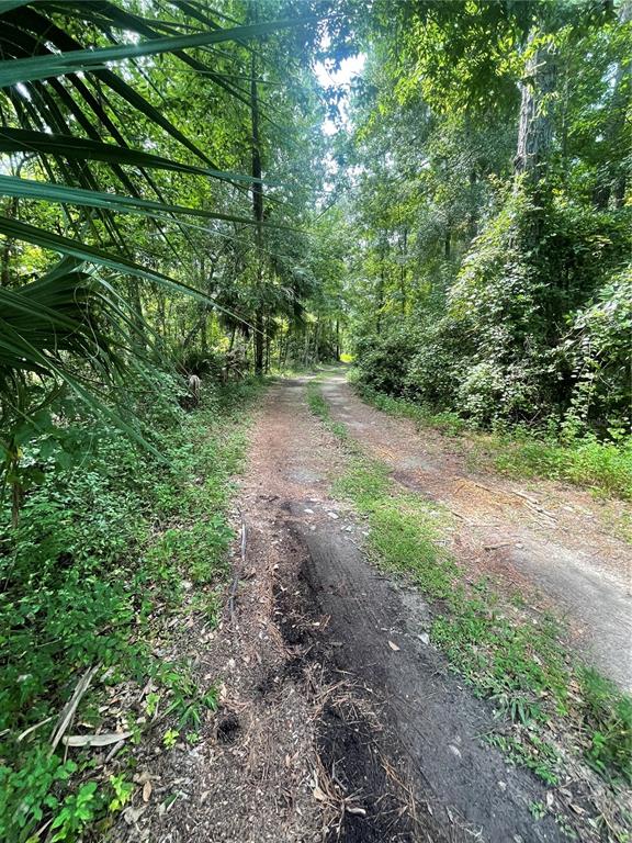 Undisclosed Address Reddick, FL 32686 - Photo 2 of 43 a view of a yard with a tree