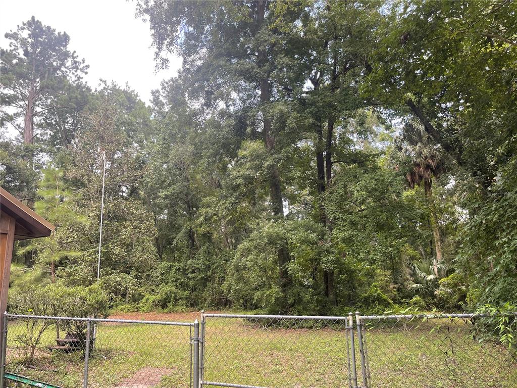 Undisclosed Address Reddick, FL 32686 - Photo 38 of 43 a view of a forest from a window