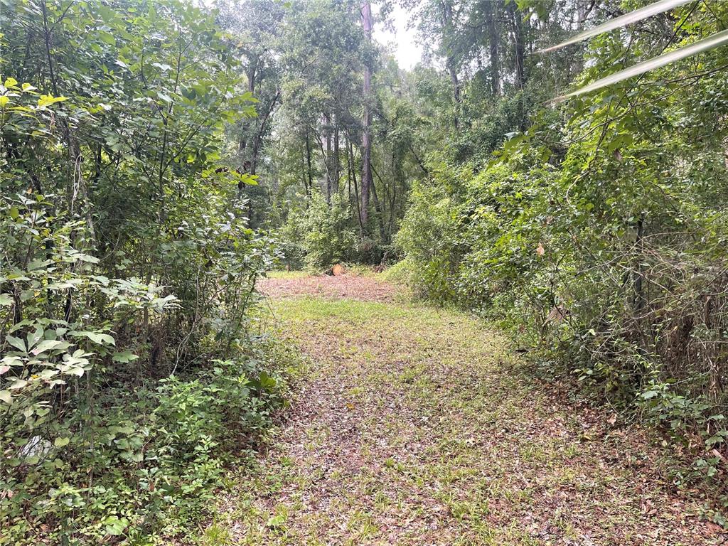Undisclosed Address Reddick, FL 32686 - Photo 42 of 43 a view of a yard with a tree