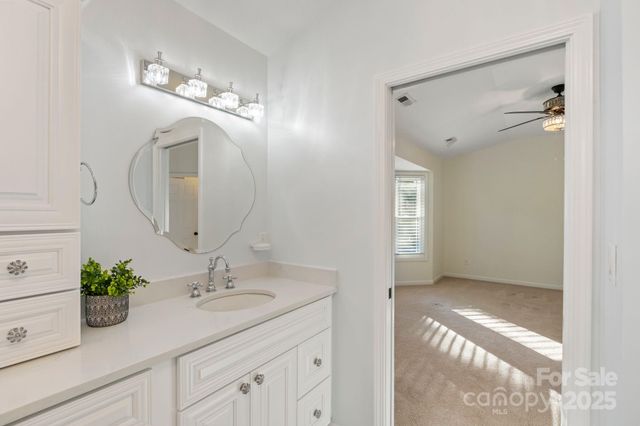 a bathroom with a sink a potted plant and a mirror