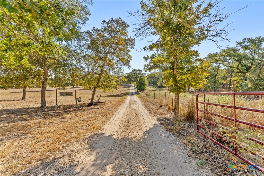 1545 Nockenut Road Seguin, TX 78155 - Photo 1 of 1 Gallery Image 1
