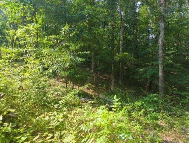 1346 Elliot Road Nunnelly, TN 37137 - Photo 2 of 12