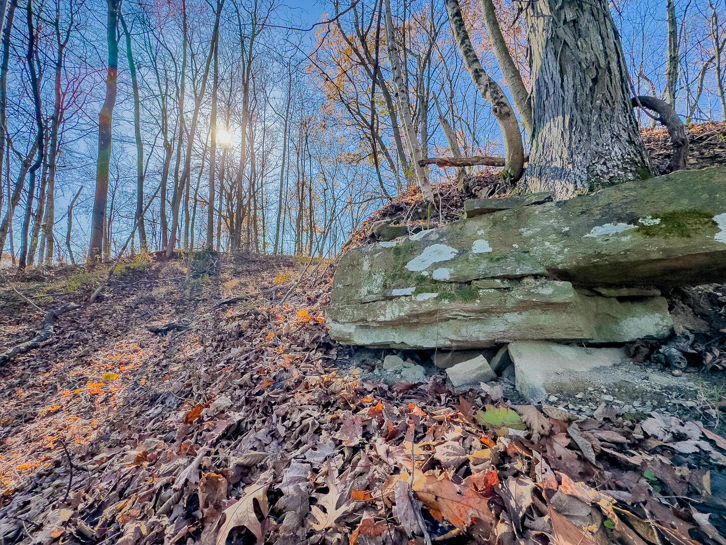 9615 Rural Dale Road Blue Rock, OH 43720 - Photo 61 of 83 9615 Rural Dale Rd-61