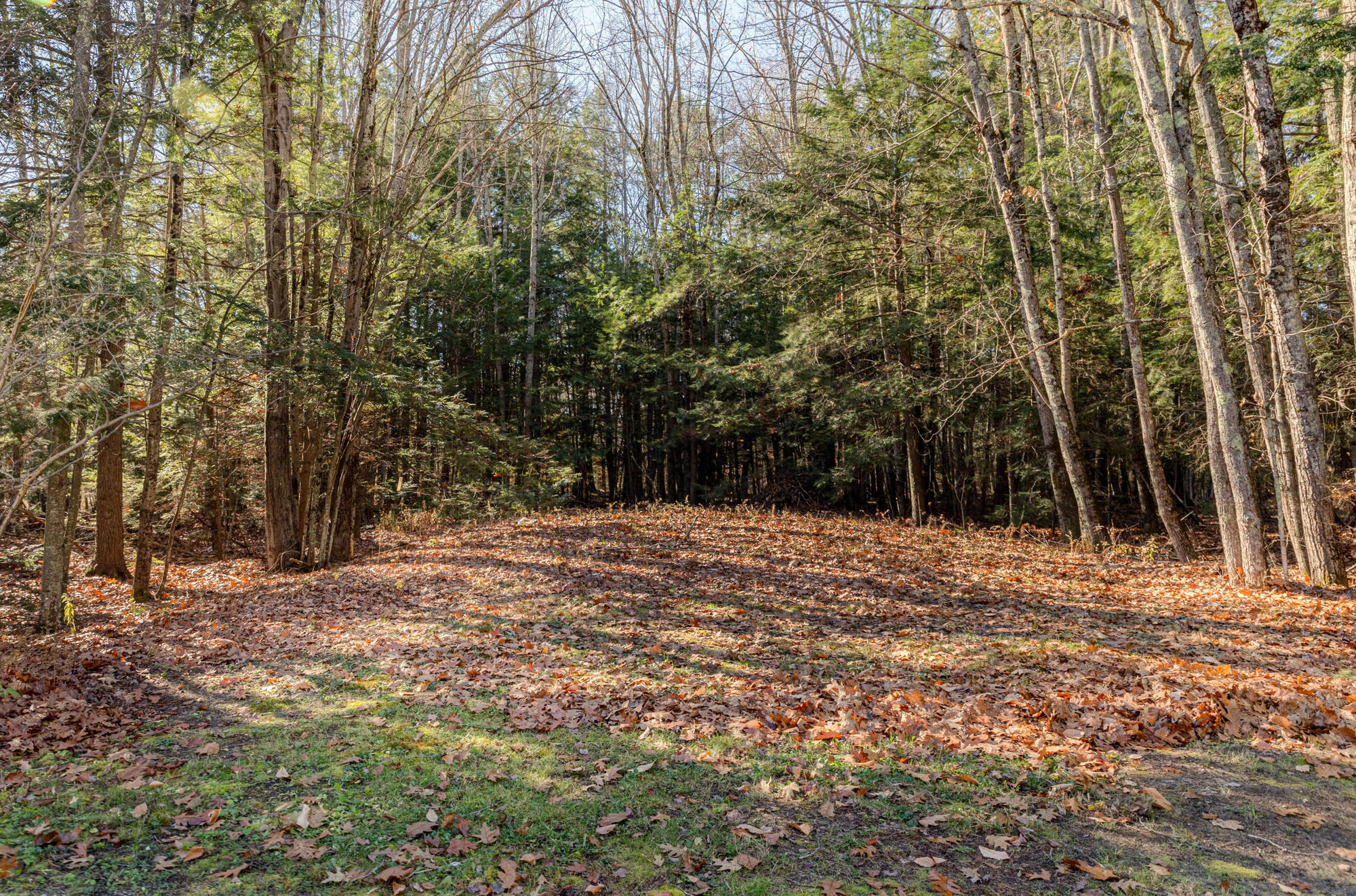 384 Gorham Road Scarborough, ME 04074 - Photo 51 of 64 384 Gorham Rd._W5_065