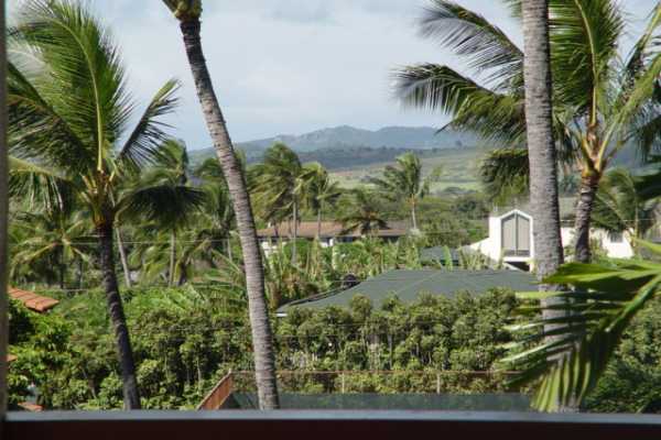 1870 Hoone Road, Unit 525 Koloa, HI 96756 - Photo 12 of 19 a view of a yard with plants and palm trees