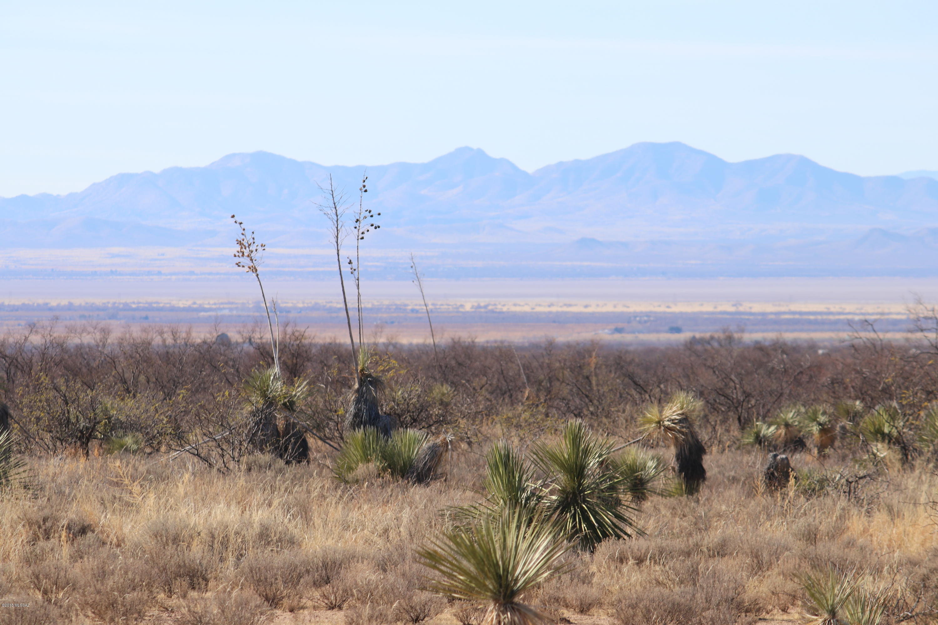 South Bascom Trail, Unit 55 Willcox, AZ 85643 - Photo 2 of 14