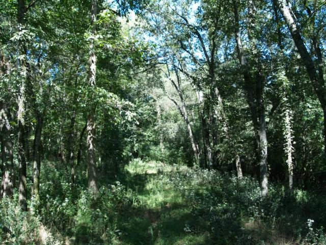 20 Old Tva Road Columbia, TN 38401 - Photo 13 of 19 Gallery Image 13