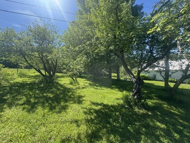 3491 County Road Albany, VT 05875 - Photo 31 of 44