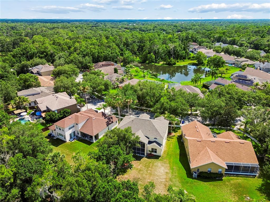 16936 Falconridge Road Lithia, FL 33547 - Photo 82 of 87