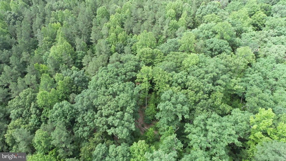 0 Deep Bottom Road Mechanicsville, VA 23111 - Photo 54 of 58 Gallery Image 54