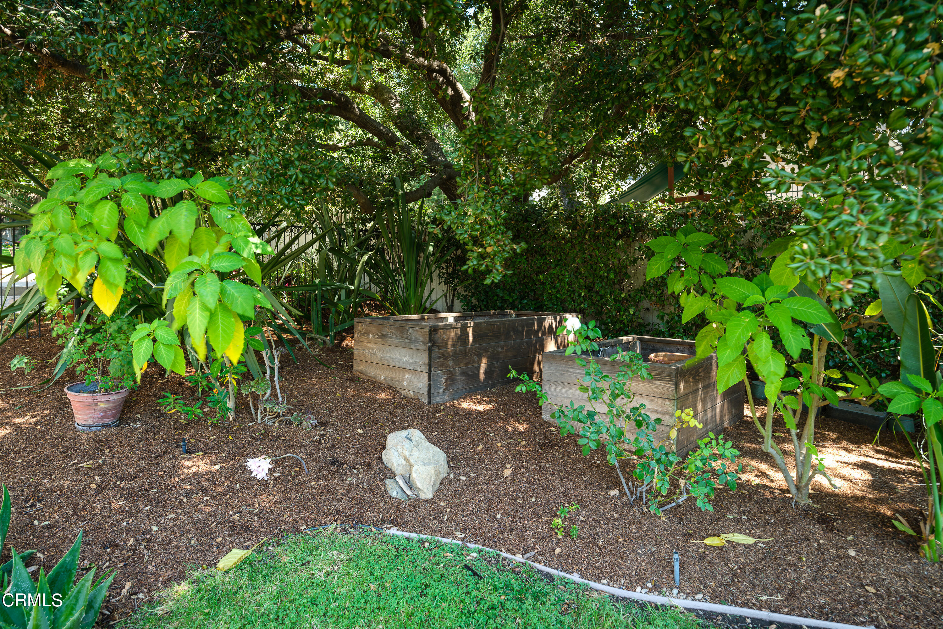 981 Parkman Street Altadena, CA 91001 - Photo 52 of 75 a backyard of a house with lots of green space
