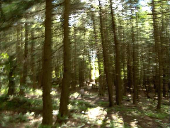 0 Off Morgan Road Jericho, VT 05465 - Photo 1 of 1