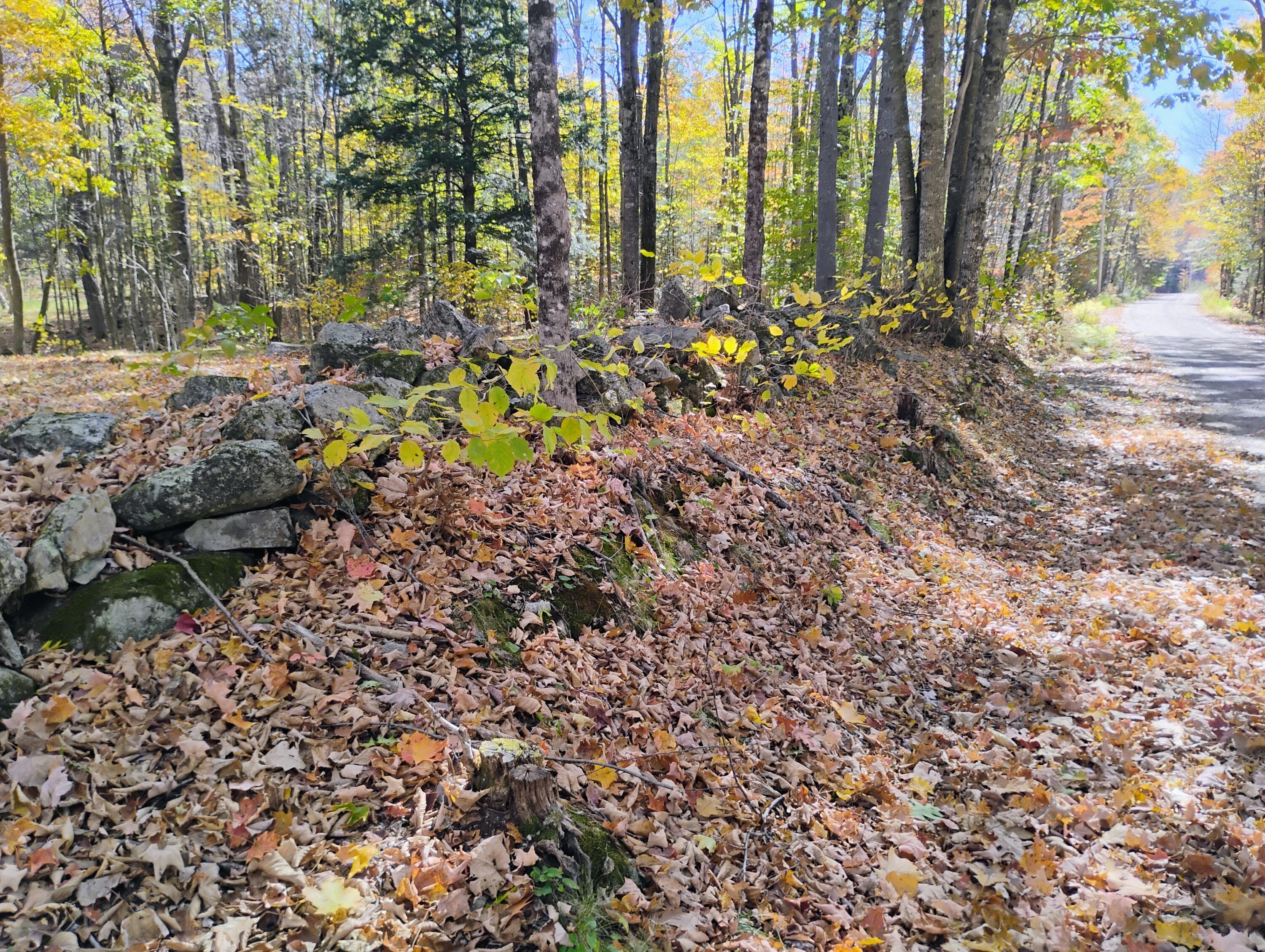 545 Sawin Hill Road Bethel, ME 04217 - Photo 12 of 13 IMG_20251017_121415084_HDR_AE