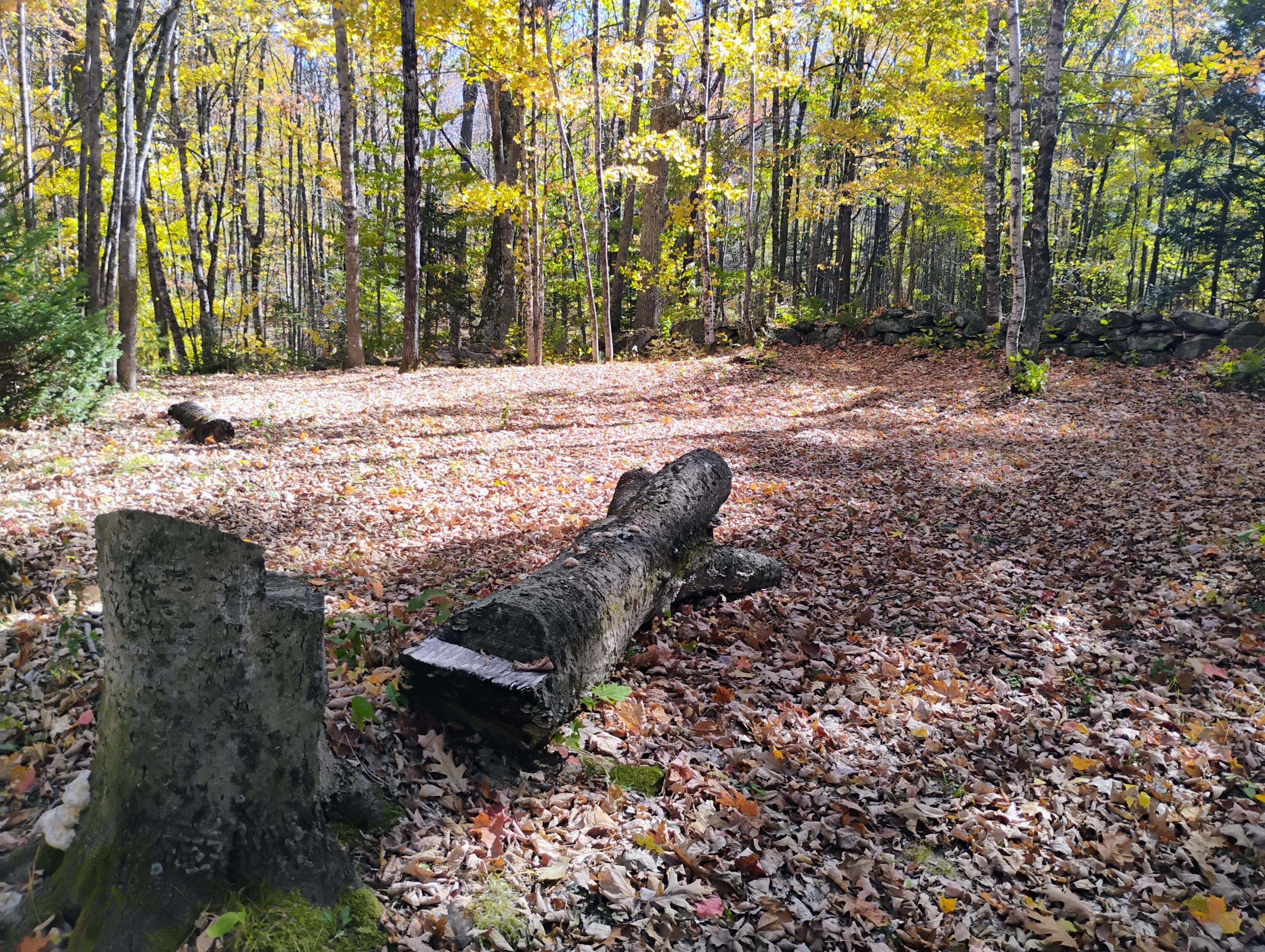 545 Sawin Hill Road Bethel, ME 04217 - Photo 6 of 13 IMG_20251017_121138646_AE