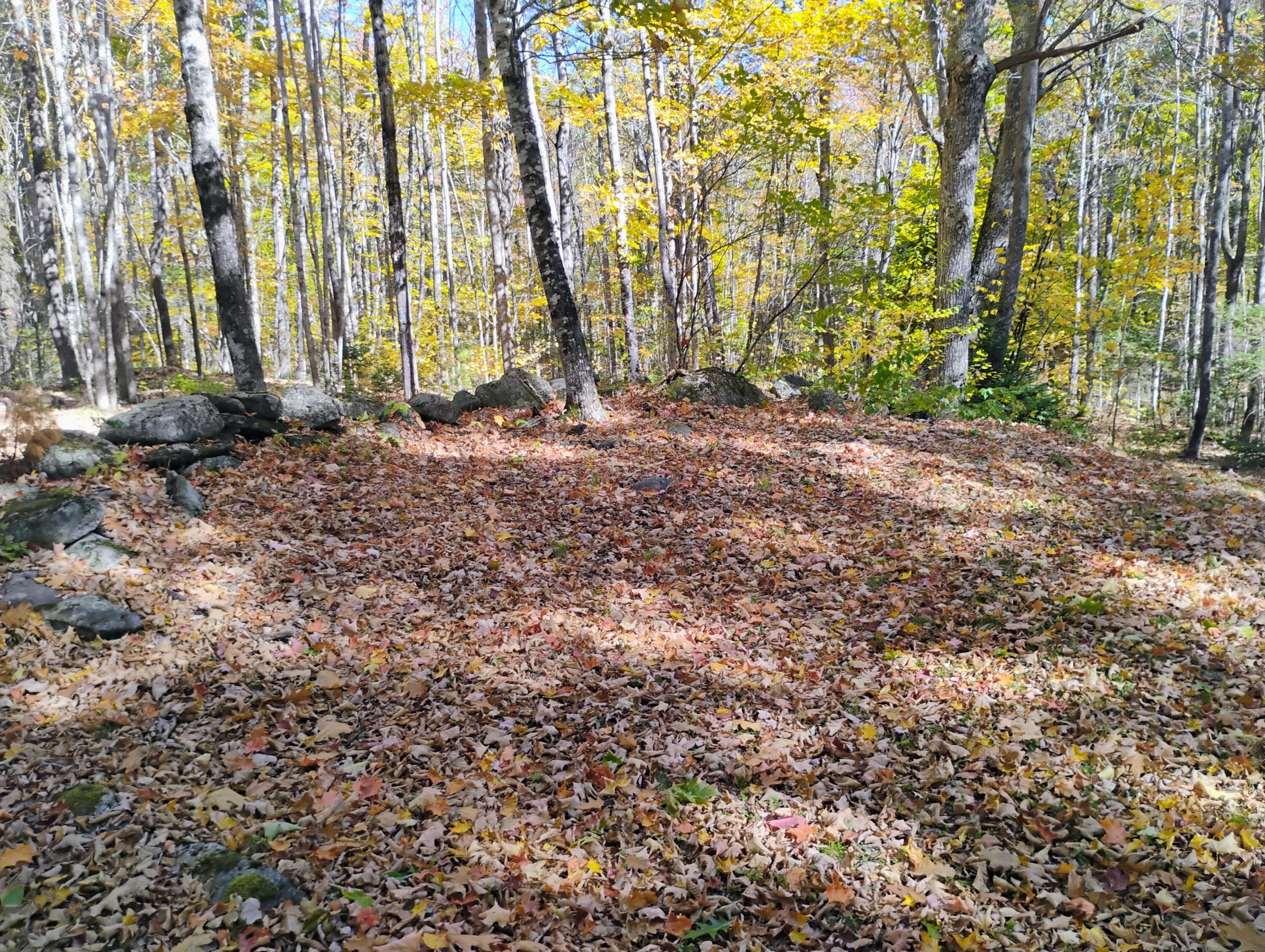 545 Sawin Hill Road Bethel, ME 04217 - Photo 8 of 13 IMG_20251017_121222723_AE