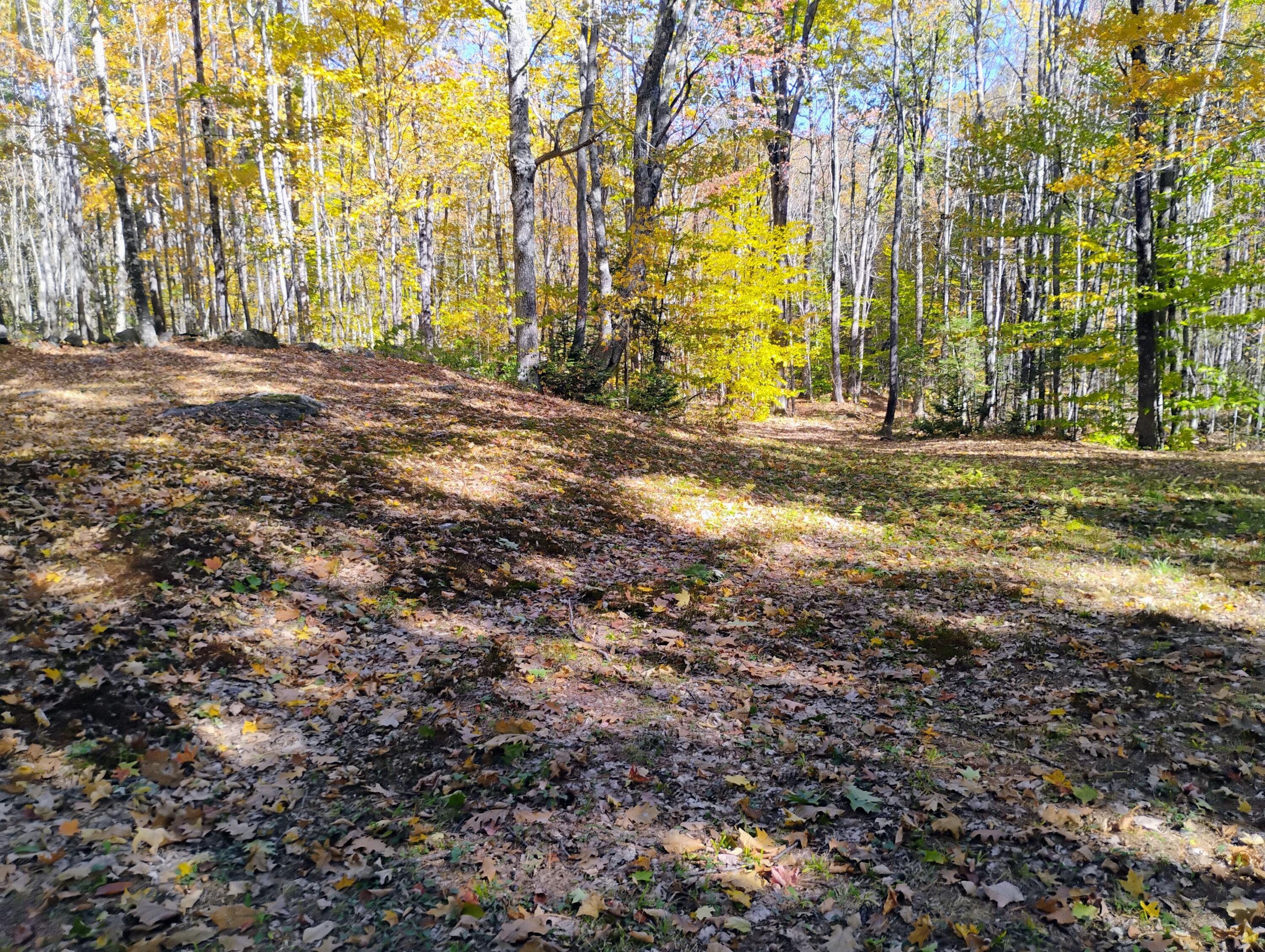 545 Sawin Hill Road Bethel, ME 04217 - Photo 9 of 13 IMG_20251017_121256385_AE