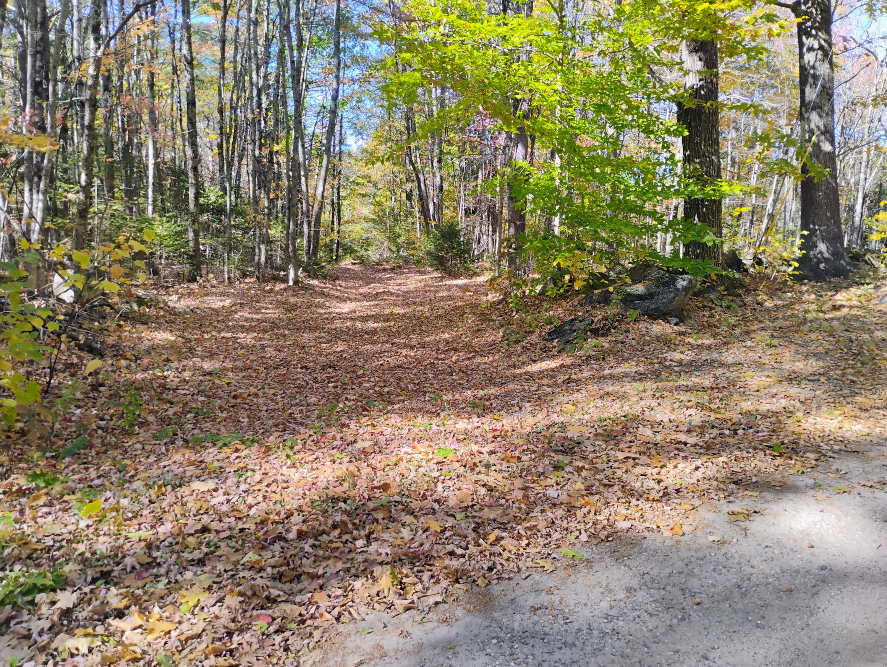 545 Sawin Hill Road Bethel, ME 04217 - Photo 10 of 13 IMG_20251017_121310292_AE