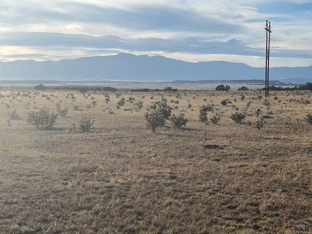 66 A Turkey Ridge Ranch Walsenburg, CO 81089 - Photo 2 of 13