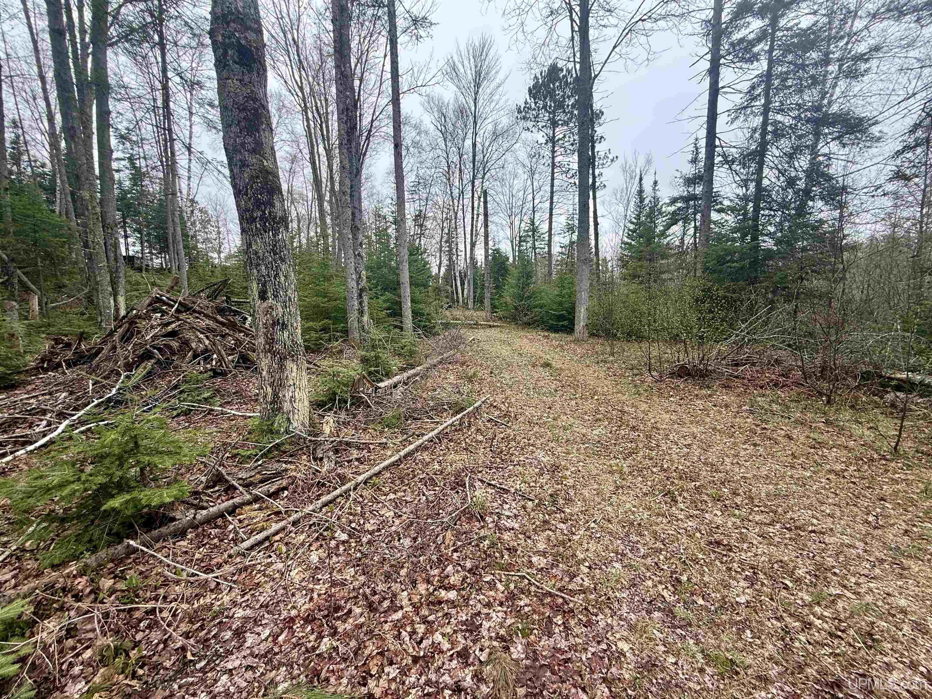 Tbd North Horseshoe Lake Road Republic, MI 49879 - Photo 3 of 12