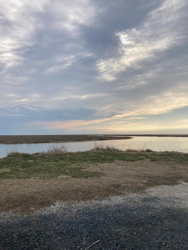 Lot 18 Gargatha Landing Road, Unit 18 Parksley, VA 23421 - Photo 3 of 5