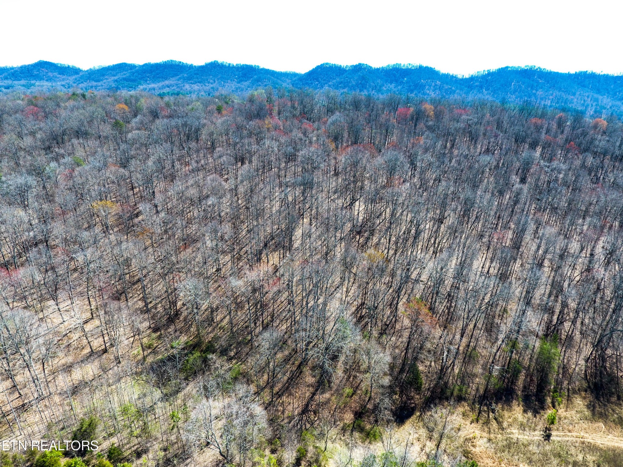 1 Mill Pond Hollow Road Maynardville, TN 37807 - Photo 6 of 14 Gallery Image 6