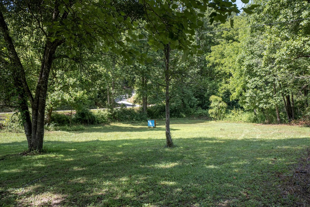 Tbd Ed Graves Road Murphy, NC 28906 - Photo 21 of 23