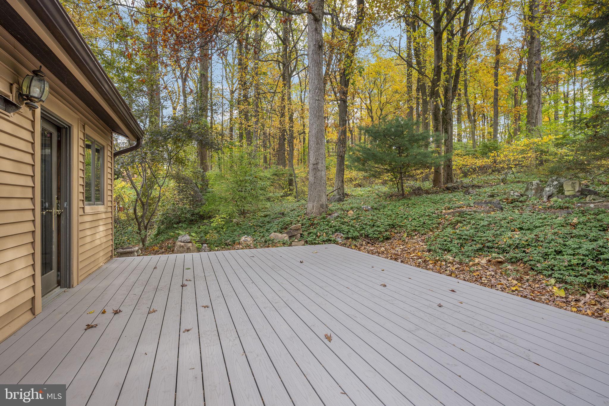 10 Woods Road Elverson, PA 19520 - Photo 27 of 49 a view of backyard with green space
