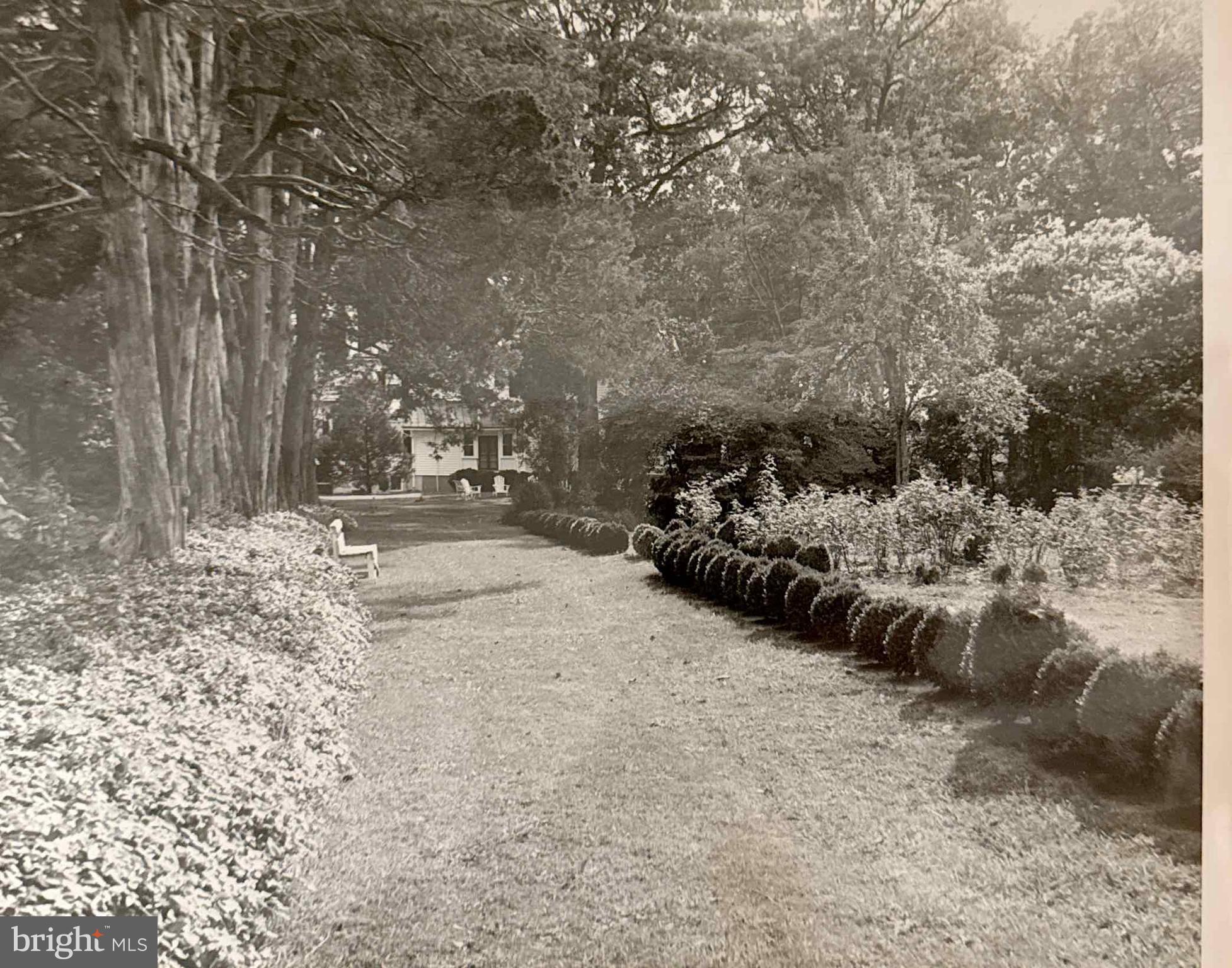 2345 Berry Hill Road Danville, VA 24541 - Photo 119 of 130 Historic Photo of Cedar Allee and Gardenscape