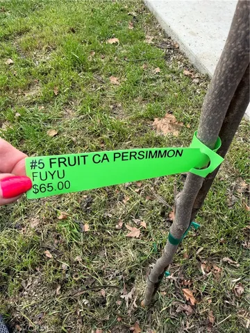 $149,000 | 14707 Walnut Avenue, Clearlake, CA 95422