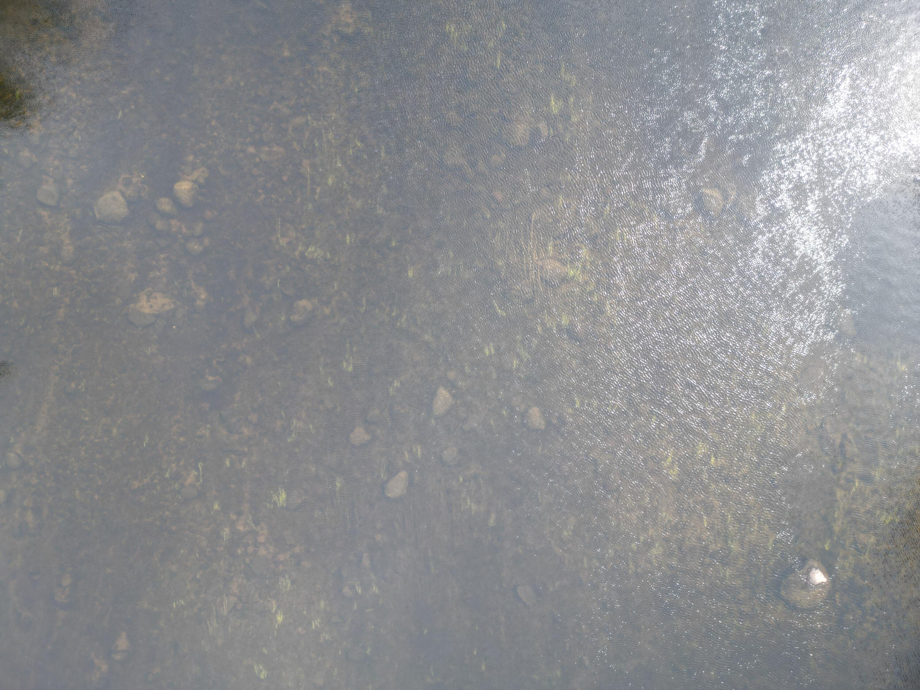 Lot 4 Off Mattamiscontis Road Howland, ME 04448 - Photo 20 of 20 DJI_0084