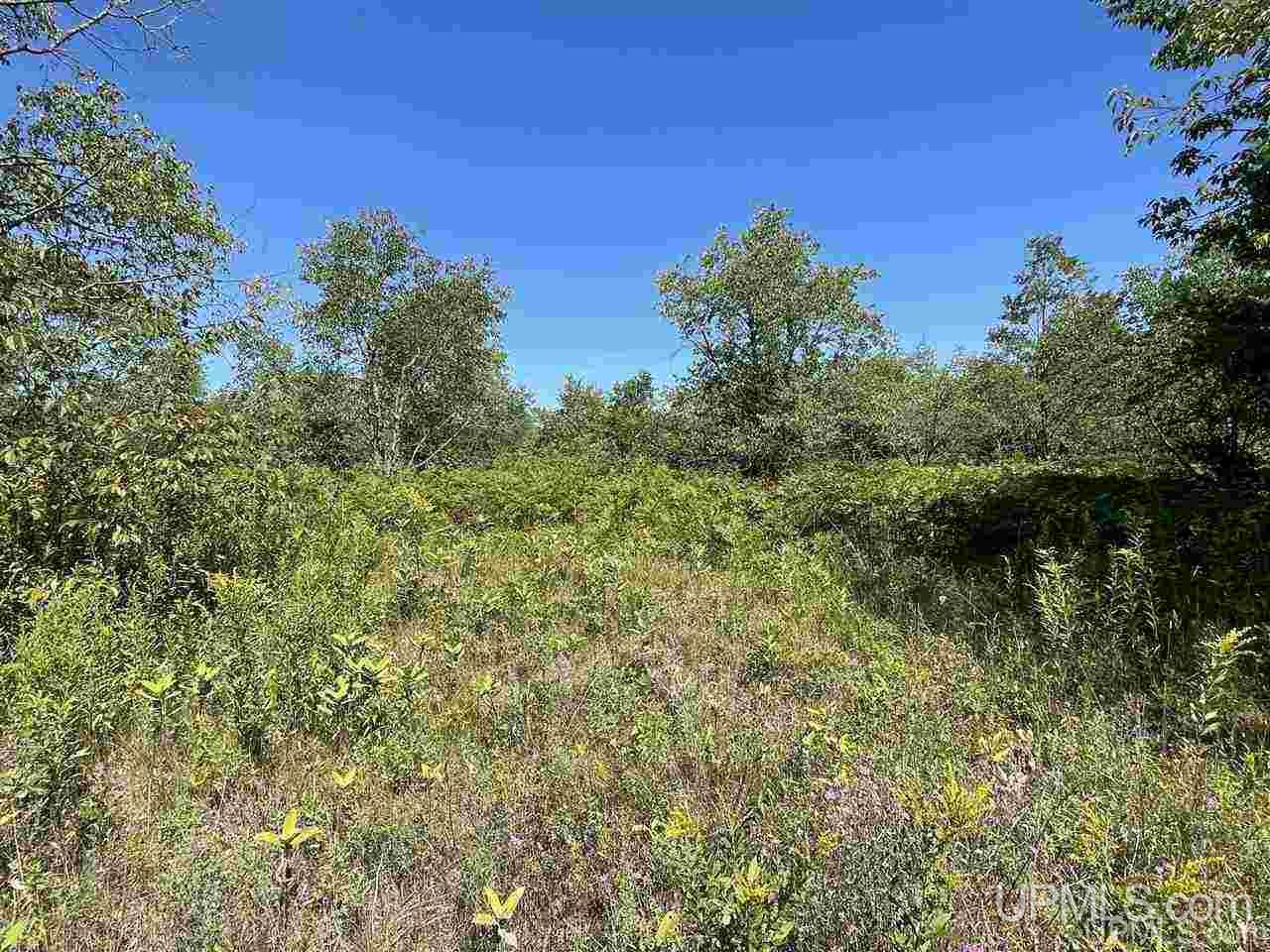 220 W Ford Lake Road Germfask, MI 49836 - Photo 3 of 26
