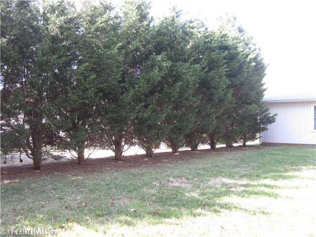 3220 Rockingham Road High Point, NC 27265 - Photo 15 of 16 Land/Lot. Great landscaping for privacy in the backyard. Mature trees galore!!!