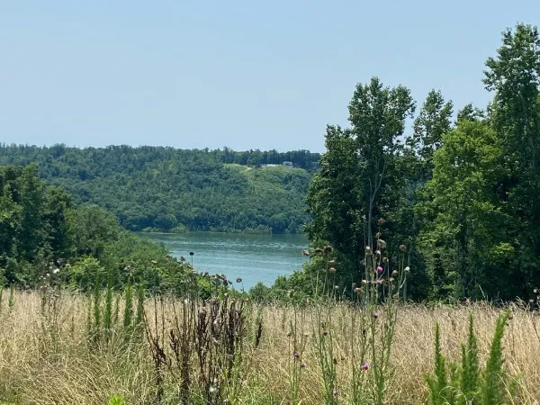 a view of a lake view with a garden