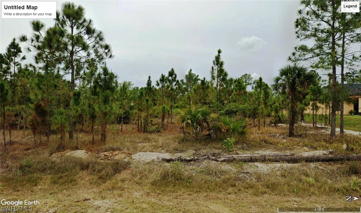a view of a yard with trees