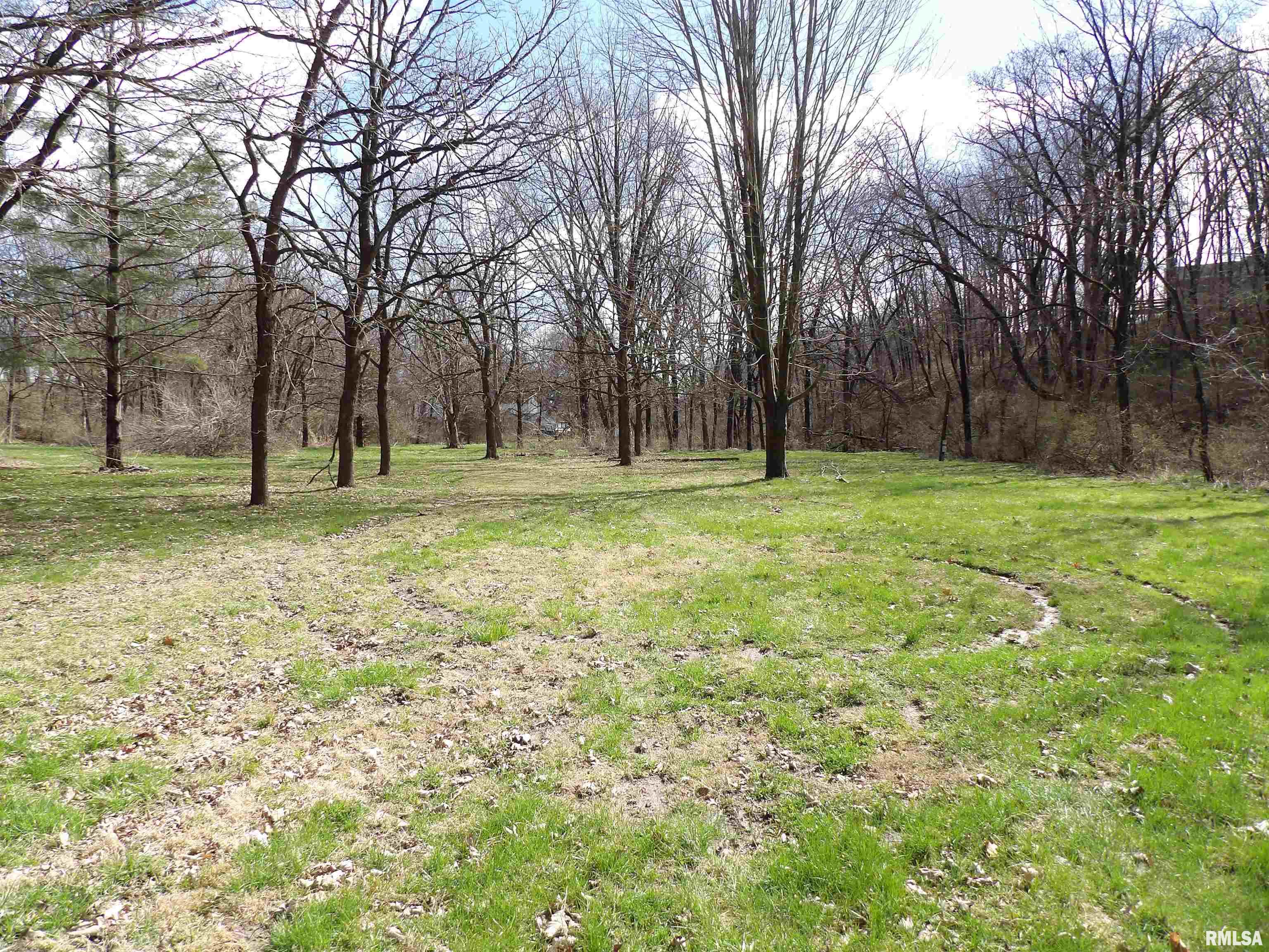 511 West Little Street Athens, IL 62613 - Photo 5 of 27 Gallery Image 5