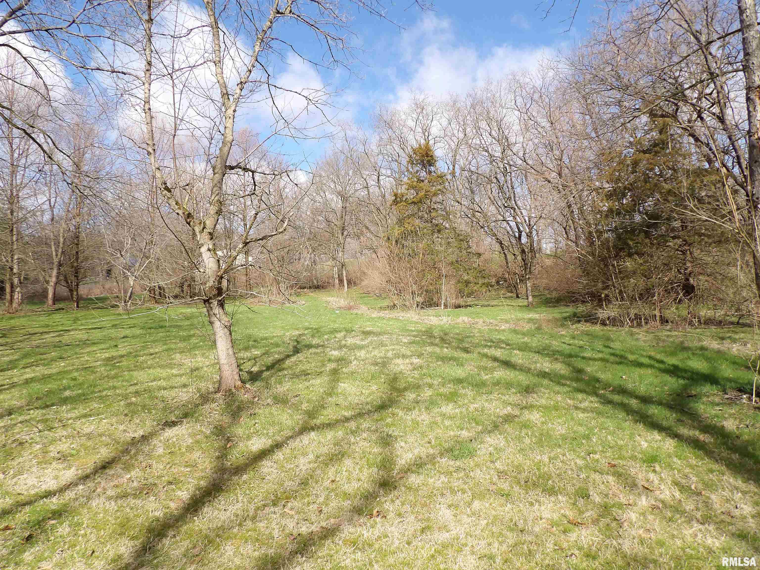 511 West Little Street Athens, IL 62613 - Photo 9 of 27 Gallery Image 9