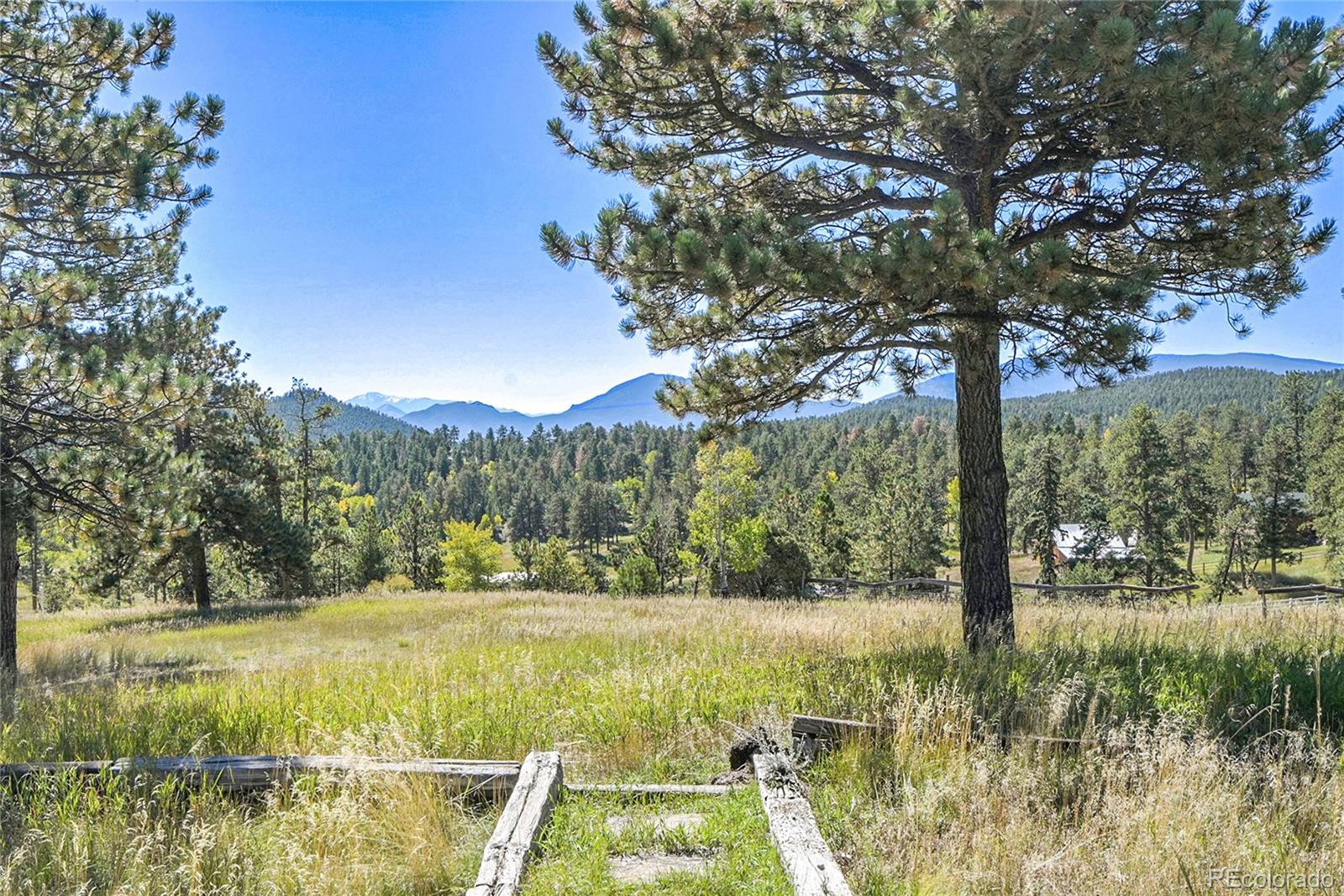 13082 South Wamblee Valley Road Conifer, CO 80433 - Photo 31 of 35 a view of yard with green space