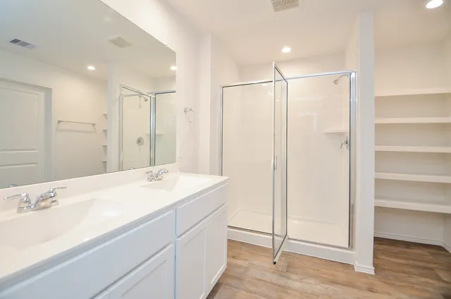 a bathroom with a sink a mirror and a shower