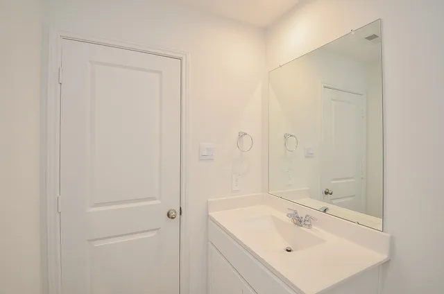 a bathroom with a sink a shower and a mirror
