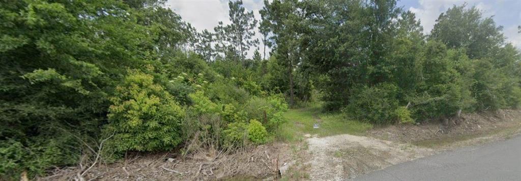 Lebleu Road Lake Charles, LA 70607 - Photo 1 of 1